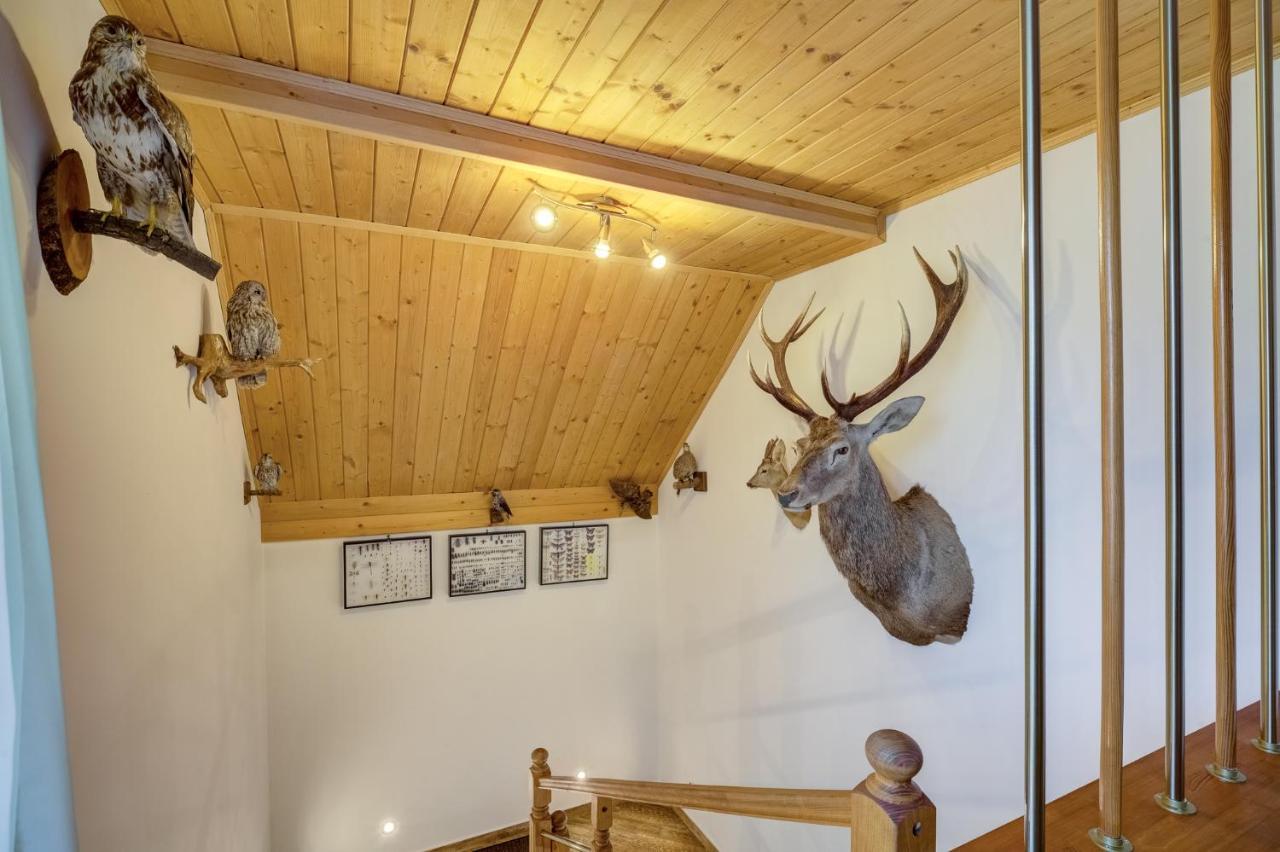 Apartamenty Szwarcowa Tylicz Exteriér fotografie