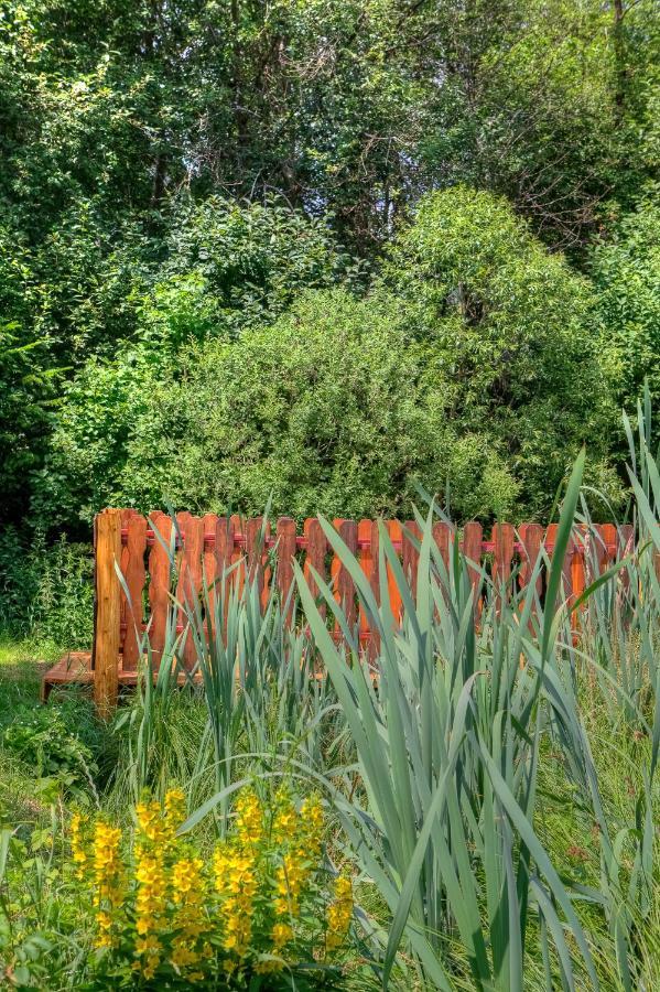 Apartamenty Szwarcowa Tylicz Exteriér fotografie